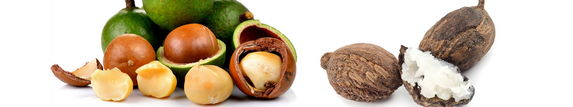Macadamia and Shea